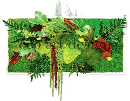 ECO ART DESIGN &eacute;vasion v&eacute;g&eacute;tale 64