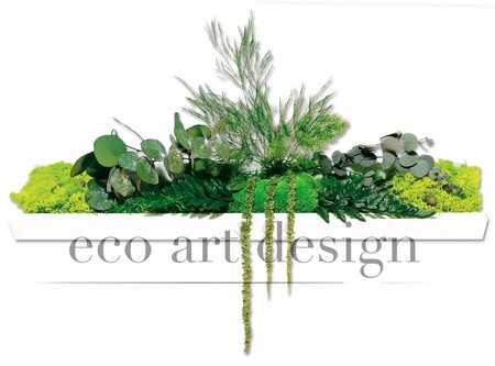 ECO ART DESIGN nature &eacute;ternelle 50